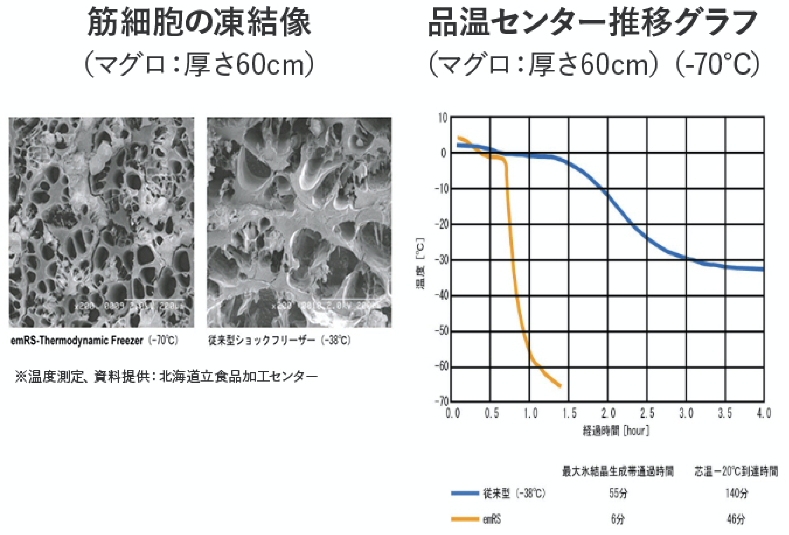 旬をすぐに 加熱と冷凍技術